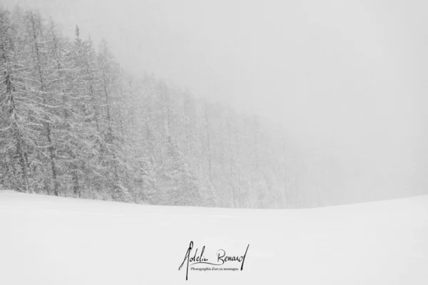À la lisière de l’hiver