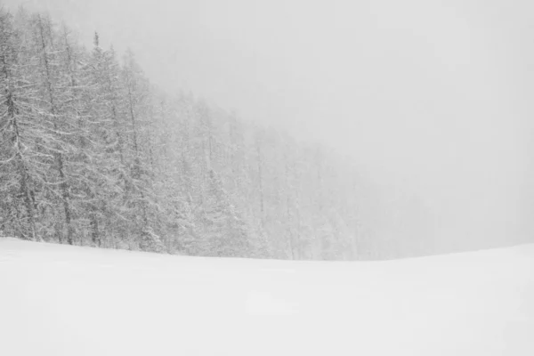 À la lisière de l’hiver – Image 2