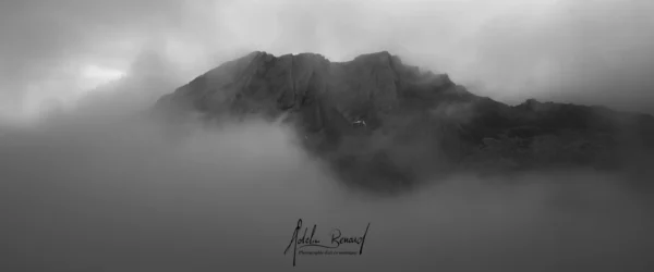 Brume taillée