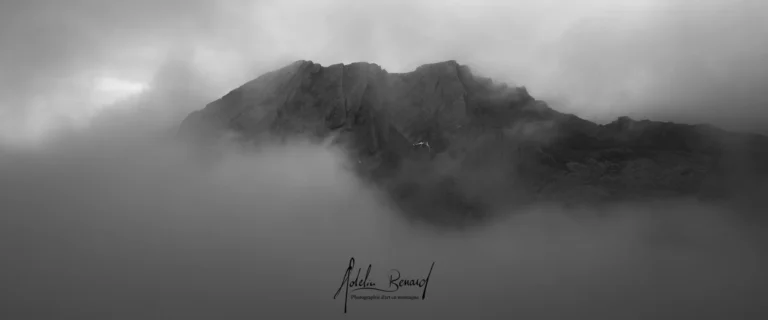 NR_20241004_brume-taillée_30
